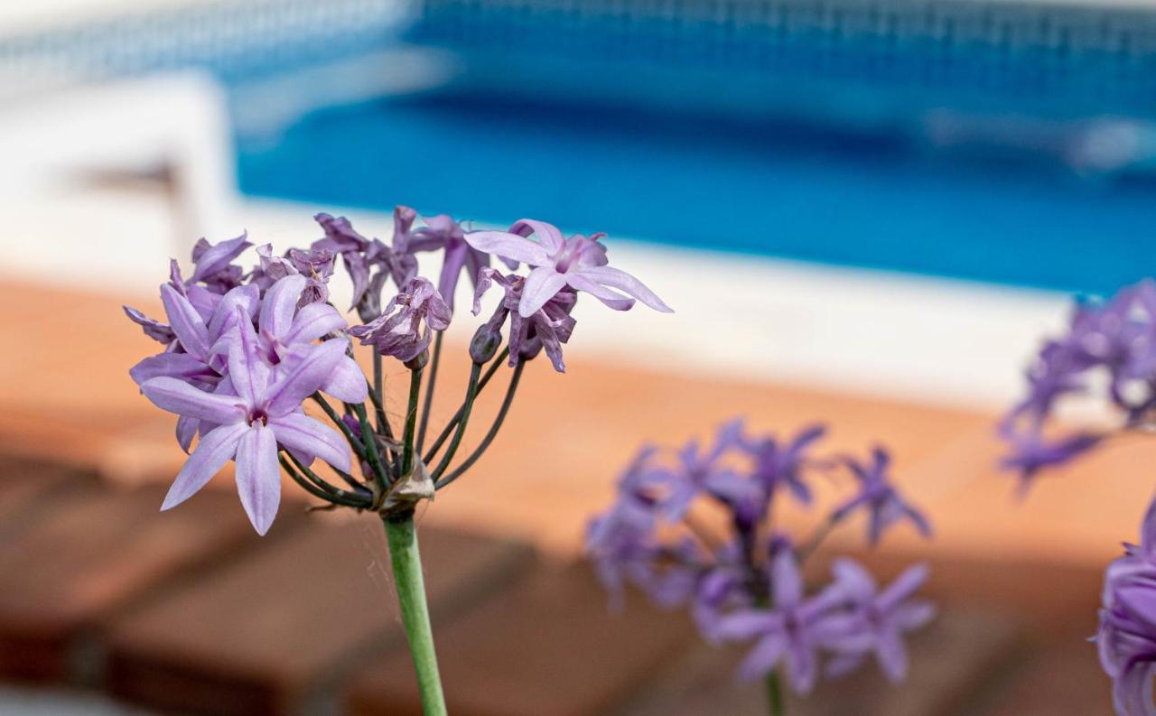 Finca Las Hierbas B&B Alora Exterior photo